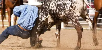PBR - Professional Bull Riders